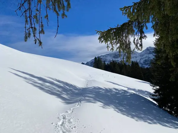 Jeu Magique Lumière Ombre Sur Une Couverture Neige Blanche Pure — Photo