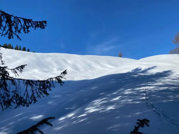 Juego Mágico Luz Sombra Sobre Una Cubierta Nieve Blanca Pura —  Fotos de Stock