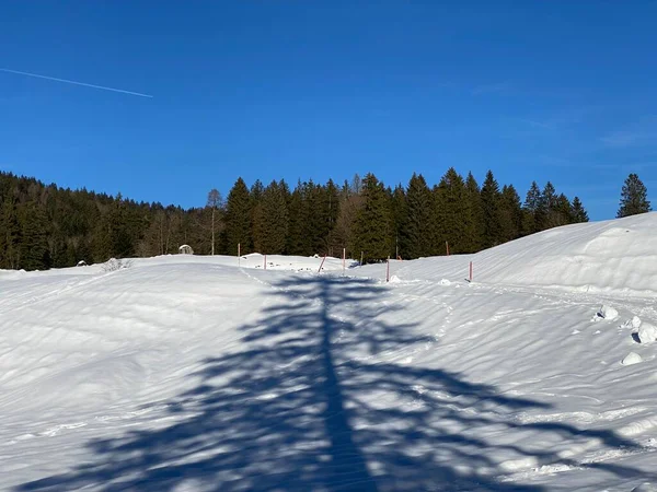 Jeu Magique Lumière Ombre Sur Une Couverture Neige Blanche Pure — Photo