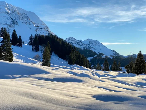 Kouzelná Hra Světla Stínu Čistě Bílé Sněhové Pokrývce Smíšeném Alpském — Stock fotografie