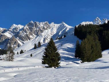 Apenzell Alpleri 'nde kar kaplı Alpstein Dağı' nda kış havası ve güzel, huzurlu bir atmosfer.)
