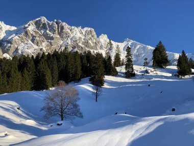 Apenzell Alpleri 'nde kar kaplı Alpstein Dağı' nda kış havası ve güzel, huzurlu bir atmosfer.)