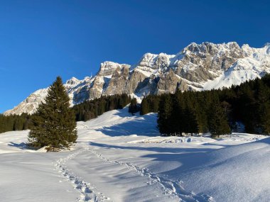 Apenzell Alpleri 'nde kar kaplı Alpstein Dağı' nda kış havası ve güzel, huzurlu bir atmosfer.)