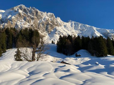 Apenzell Alpleri 'nde kar kaplı Alpstein Dağı' nda kış havası ve güzel, huzurlu bir atmosfer.)