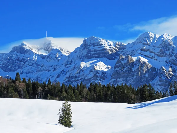 Ambiente Invernal Hermoso Ambiente Idílico Nevada Montaña Alpina Alpstein Macizo —  Fotos de Stock