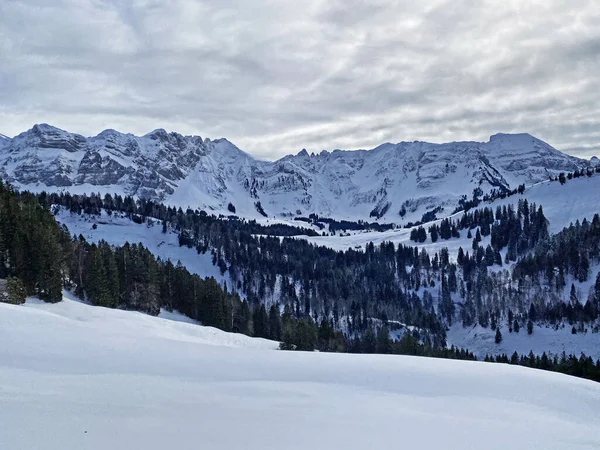 Ambiente Invernal Hermoso Ambiente Idílico Nevada Montaña Alpina Alpstein Macizo — Foto de Stock