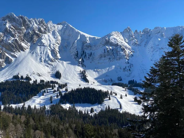 Apenzell Alpleri 'nde kar kaplı Alpstein Dağı' nda kış havası ve güzel, huzurlu bir atmosfer.)