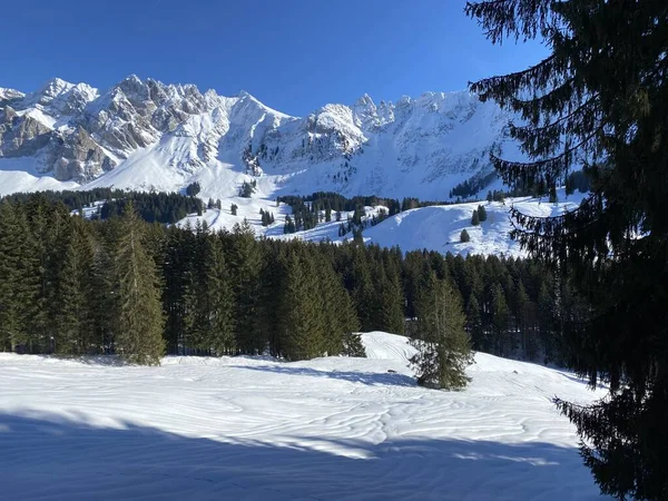 Winterliches Ambiente Und Herrliche Idylle Auf Dem Schneebedeckten Alpstein Appenzeller — Stockfoto