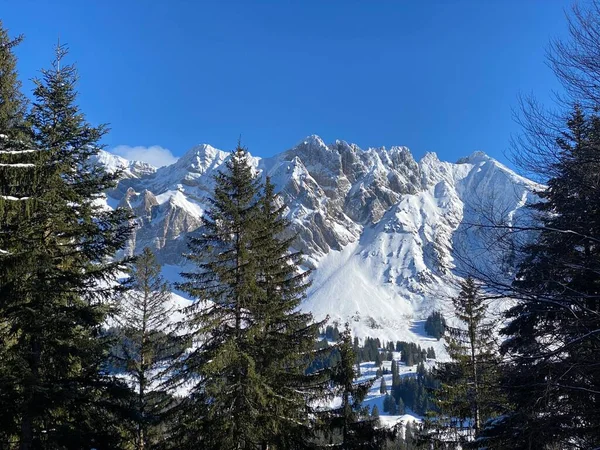 Ambiente Inverno Bela Atmosfera Idílica Montanha Alpina Com Cobertura Neve — Fotografia de Stock