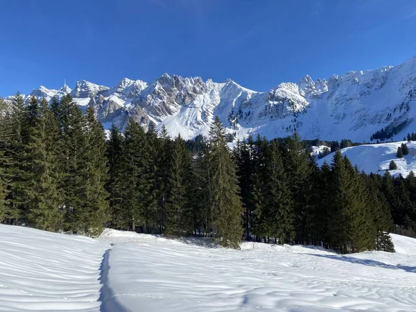 Zimní Atmosféra Nádherná Idylická Atmosféra Zasněžené Alpské Hoře Alpstein Masivu — Stock fotografie