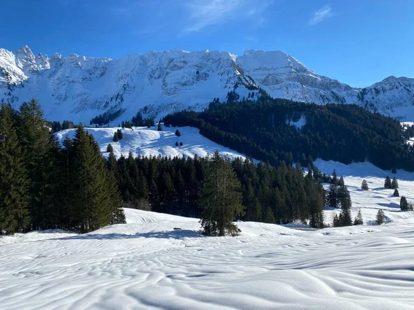 Zimní Atmosféra Nádherná Idylická Atmosféra Zasněžené Alpské Hoře Alpstein Masivu — Stock fotografie