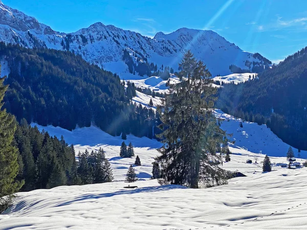 Apenzell Alpleri 'nde kar kaplı Alpstein Dağı' nda kış havası ve güzel, huzurlu bir atmosfer.)