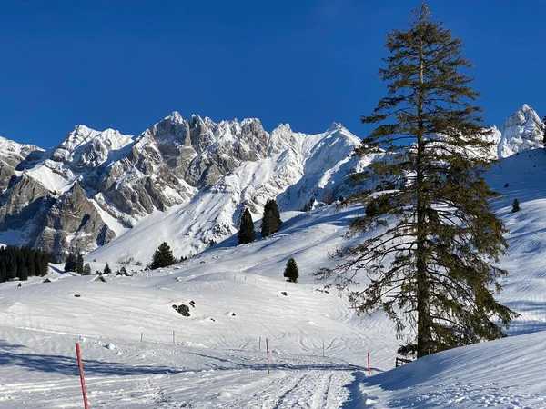 Χειμερινή Ατμόσφαιρα Και Όμορφη Ειδυλλιακή Ατμόσφαιρα Στο Χιονισμένο Βουνό Alpstein — Φωτογραφία Αρχείου