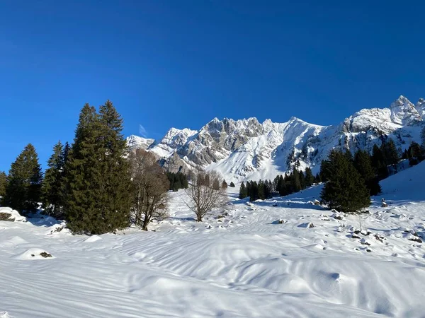 Ambiente Invernale Bella Atmosfera Idilliaca Sulla Montagna Alpina Innevata Alpstein — Foto Stock