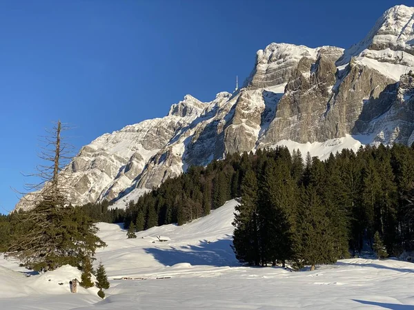 Zimowa Atmosfera Piękna Idylliczna Atmosfera Pokrytej Śniegiem Alpejskiej Górze Alpstein — Zdjęcie stockowe