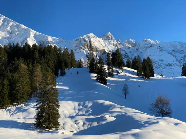 Ambiente Inverno Bela Atmosfera Idílica Montanha Alpina Com Cobertura Neve — Fotografia de Stock