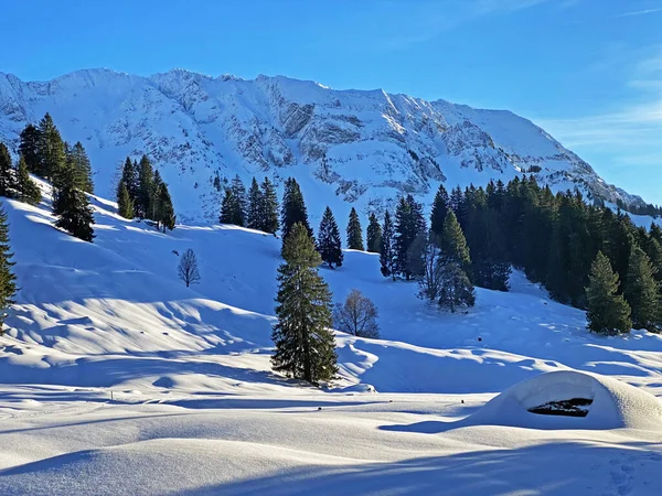 Ambiente Invernale Bella Atmosfera Idilliaca Sulla Montagna Alpina Innevata Alpstein — Foto Stock