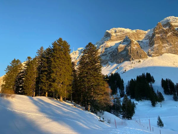 Ambiente Invernal Hermoso Ambiente Idílico Nevada Montaña Alpina Alpstein Macizo — Foto de Stock