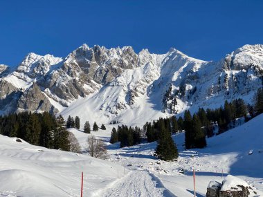 Taze kar altında yerel dağ yolu Appenzell Alpleri 'nin eteğindeki Alpstein dağının eteğindeki yumuşak bir alp vadisinde.)