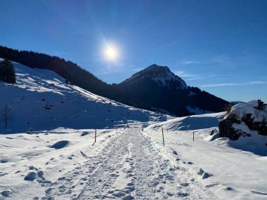 Taze kar altında yerel dağ yolu Appenzell Alpleri 'nin eteğindeki Alpstein dağının eteğindeki yumuşak bir alp vadisinde.)