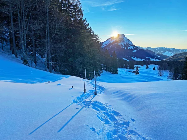 Sen Kväll Vintersol Över Den Snötäckta Alpina Dalen Och Innan — Stockfoto