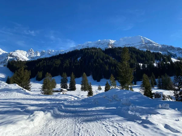 Estrada Montanha Local Sob Neve Fresca Cobertura Inverno Vale Alpino — Fotografia de Stock
