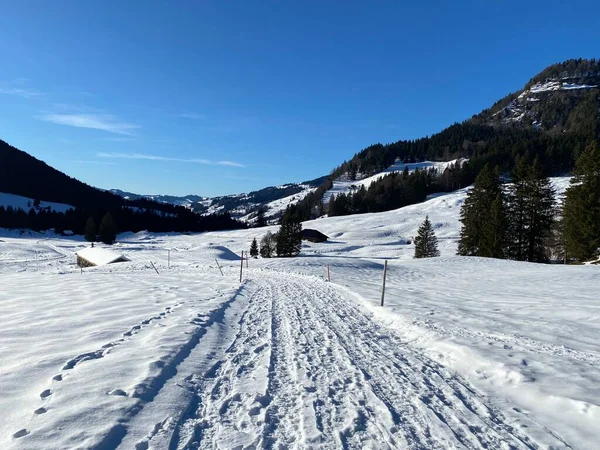 アペンツェル アルプス塊のアルプシュタイン山の麓にある穏やかな高山の谷で 新鮮な雪の冬のカバーの下で地元の山岳道路 スイス スイス — ストック写真
