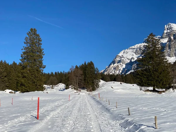 Carretera Montaña Local Bajo Nieve Fresca Cubierta Invierno Valle Alpino —  Fotos de Stock