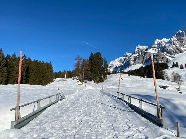 Route Montagne Locale Sous Neige Fraîche Hiver Dans Une Vallée — Photo