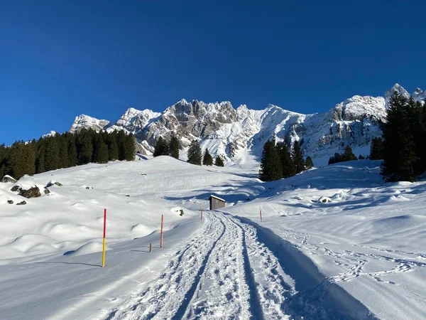 Lokale Bergweg Onder Verse Sneeuw Winterkleed Een Zacht Alpendal Aan — Stockfoto