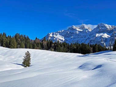 Apenzell Alpleri 'nde kar kaplı Alpstein Dağı' nda kış havası ve güzel, huzurlu bir atmosfer.)