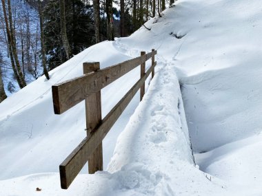 Karışık dağ ormanlarında derin dağ karlarıyla kaplı tahta orman köprüleri - Appenzell Alps massif, İsviçre (Schweiz)