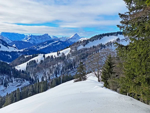Malowniczy Zimowy Krajobraz Alpejski Alpejskimi Szczytami Wzgórzami Lasami Pastwiskami Pokrytymi — Zdjęcie stockowe