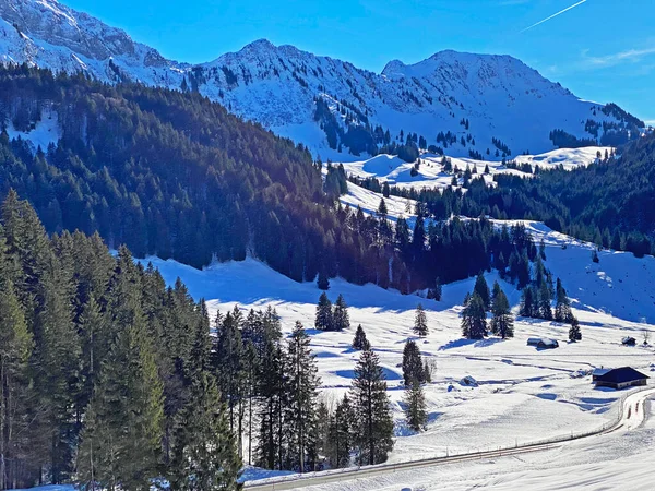 Pintoresco Paisaje Alpino Invierno Con Picos Alpinos Colinas Bosques Pastos —  Fotos de Stock