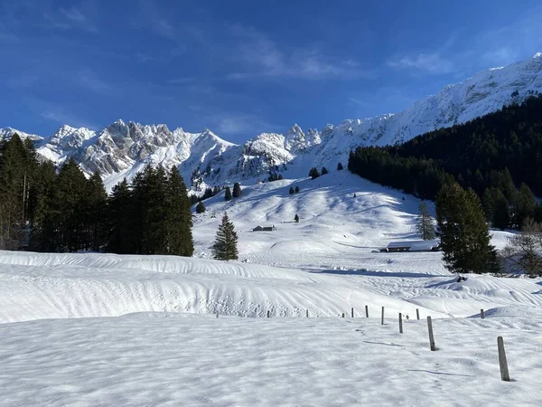 Paisagem Alpina Inverno Pitoresca Com Picos Alpinos Colinas Florestas Pastagens — Fotografia de Stock