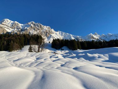 Alp tepeleri, tepeler, ormanlar ve derin taze karla kaplı çayırlarla kaplı resimli kış dağları manzarası - Appenzell Alps massif, İsviçre (Schweiz)