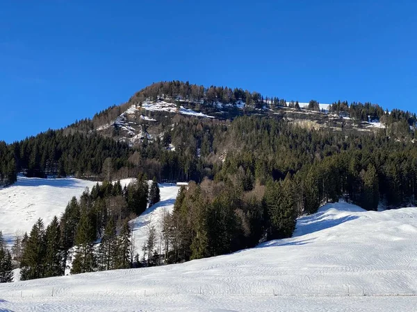 Rotsachtige Alpenheuvel Hinterfallenchopf Hinderfallenchopf 1531 Winterse Sfeer Bedekt Met Verse — Stockfoto