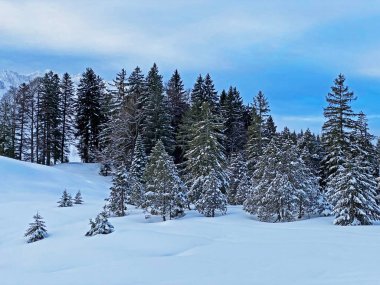 İsviçre Alpleri, Schwaegalp dağ geçidi - İsviçre 'deki Appenzell Ausserrhoden Kantonu (Schweiz)