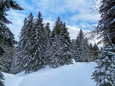 İsviçre Alpleri, Schwaegalp dağ geçidi - İsviçre 'deki Appenzell Ausserrhoden Kantonu (Schweiz)