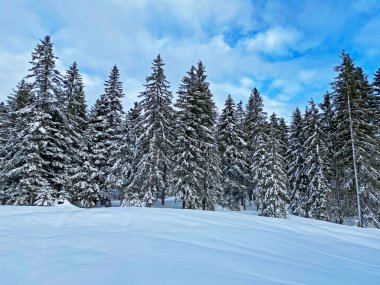 İsviçre Alpleri, Schwaegalp dağ geçidi - İsviçre 'deki Appenzell Ausserrhoden Kantonu (Schweiz)