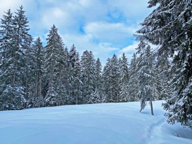 İsviçre Alpleri, Schwaegalp dağ geçidi - İsviçre 'deki Appenzell Ausserrhoden Kantonu (Schweiz)