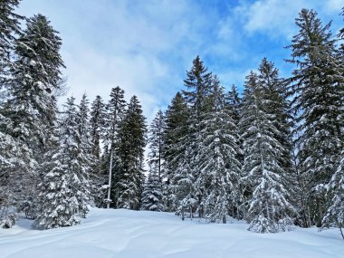 İsviçre Alpleri, Schwaegalp dağ geçidi - İsviçre 'deki Appenzell Ausserrhoden Kantonu (Schweiz)
