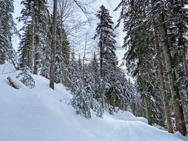 İsviçre Alpleri, Schwaegalp dağ geçidi - İsviçre 'deki Appenzell Ausserrhoden Kantonu (Schweiz)