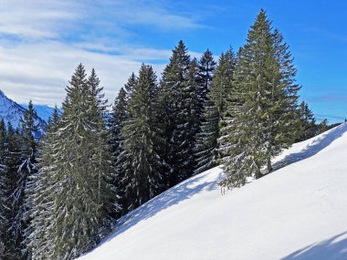 İsviçre Alpleri, Schwaegalp dağ geçidi - İsviçre 'deki Appenzell Ausserrhoden Kantonu (Schweiz)