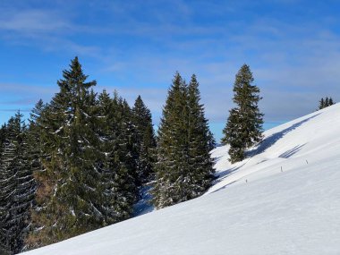 İsviçre Alpleri, Schwaegalp dağ geçidi - İsviçre 'deki Appenzell Ausserrhoden Kantonu (Schweiz)
