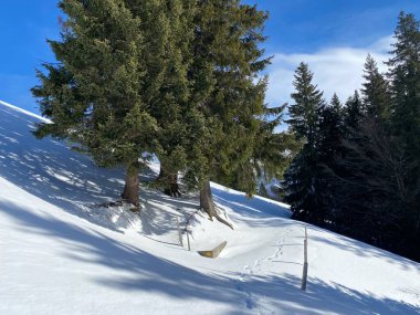 İsviçre Alpleri, Schwaegalp dağ geçidi - İsviçre 'deki Appenzell Ausserrhoden Kantonu (Schweiz)