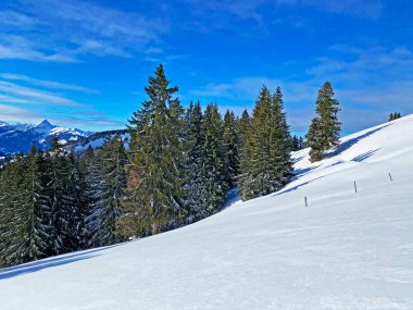 İsviçre Alpleri, Schwaegalp dağ geçidi - İsviçre 'deki Appenzell Ausserrhoden Kantonu (Schweiz)
