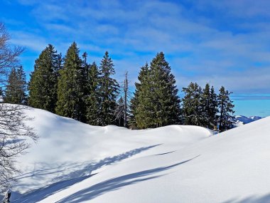 İsviçre Alpleri, Schwaegalp dağ geçidi - İsviçre 'deki Appenzell Ausserrhoden Kantonu (Schweiz)