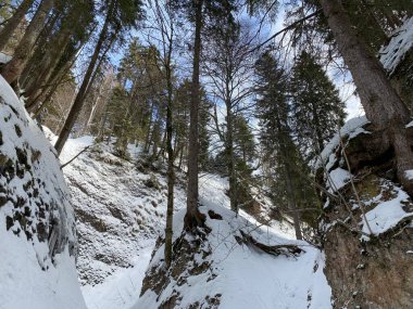 İsviçre Alpleri, Schwaegalp dağ geçidi - İsviçre 'deki Appenzell Ausserrhoden Kantonu (Schweiz)
