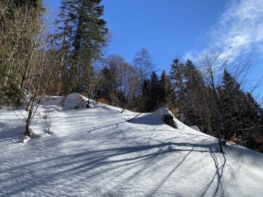 İsviçre Alpleri, Schwaegalp dağ geçidi - İsviçre 'deki Appenzell Ausserrhoden Kantonu (Schweiz)